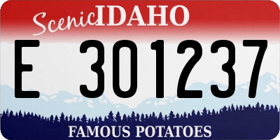 ID license plate E301237