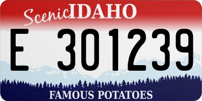 ID license plate E301239