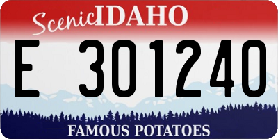 ID license plate E301240