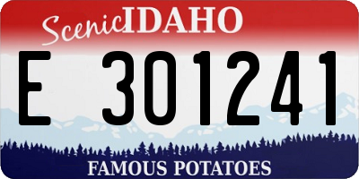 ID license plate E301241
