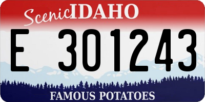 ID license plate E301243