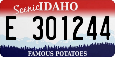 ID license plate E301244
