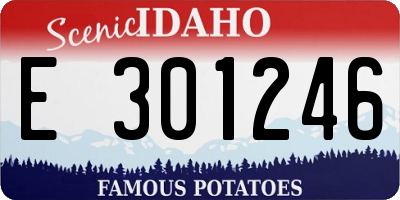 ID license plate E301246