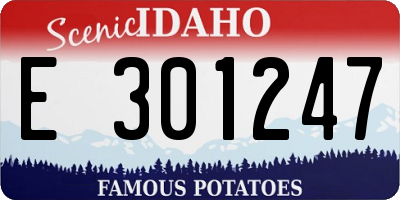 ID license plate E301247