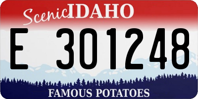ID license plate E301248