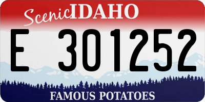ID license plate E301252