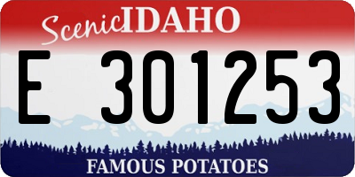 ID license plate E301253