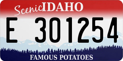 ID license plate E301254