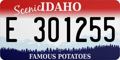 ID license plate E301255