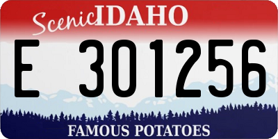 ID license plate E301256