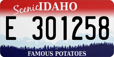 ID license plate E301258