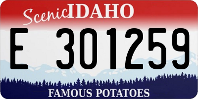 ID license plate E301259