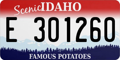 ID license plate E301260