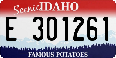 ID license plate E301261
