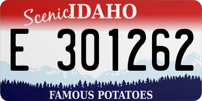 ID license plate E301262