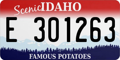 ID license plate E301263
