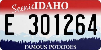 ID license plate E301264