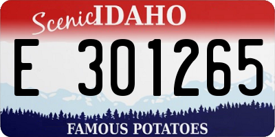 ID license plate E301265