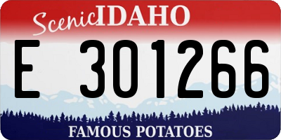 ID license plate E301266