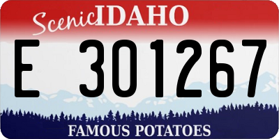 ID license plate E301267