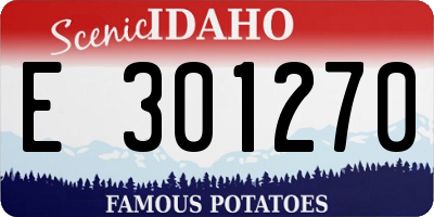 ID license plate E301270