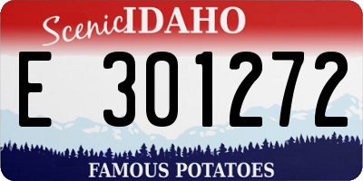 ID license plate E301272