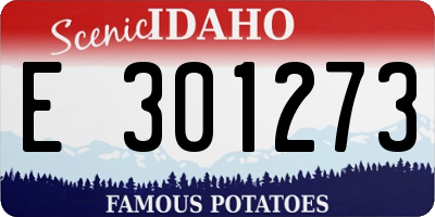 ID license plate E301273