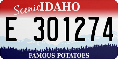 ID license plate E301274