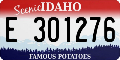 ID license plate E301276