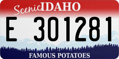 ID license plate E301281
