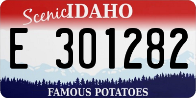 ID license plate E301282