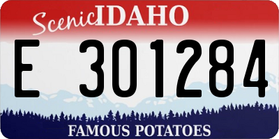 ID license plate E301284