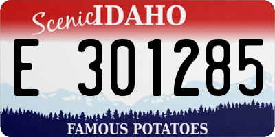 ID license plate E301285
