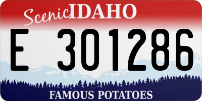 ID license plate E301286