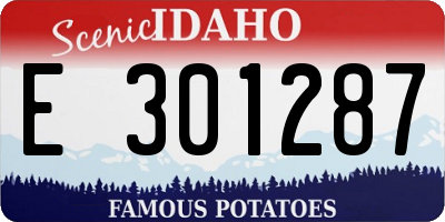 ID license plate E301287