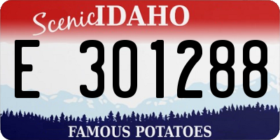 ID license plate E301288