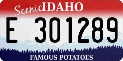 ID license plate E301289