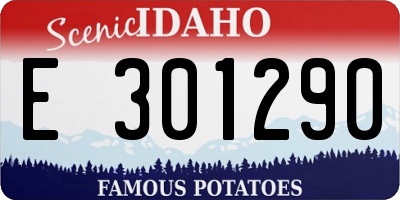 ID license plate E301290