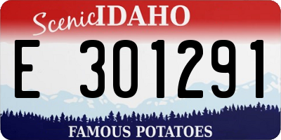 ID license plate E301291