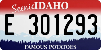 ID license plate E301293