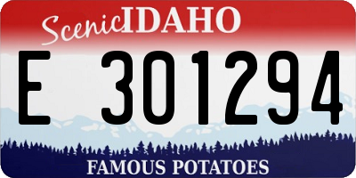 ID license plate E301294