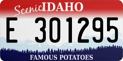ID license plate E301295