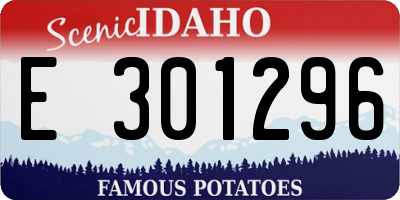 ID license plate E301296