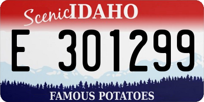 ID license plate E301299