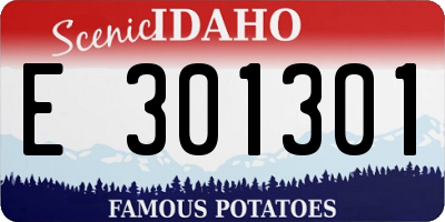 ID license plate E301301