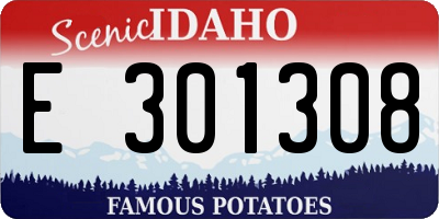 ID license plate E301308