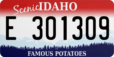 ID license plate E301309