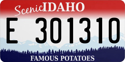 ID license plate E301310