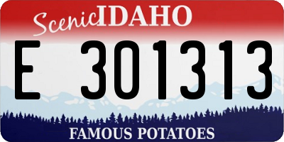 ID license plate E301313