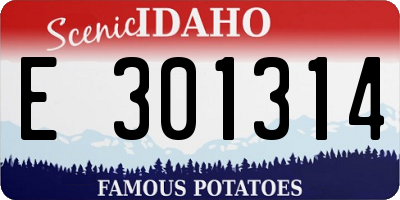 ID license plate E301314